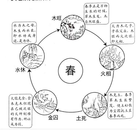 五行金旺|五行的旺、相、休、囚、死